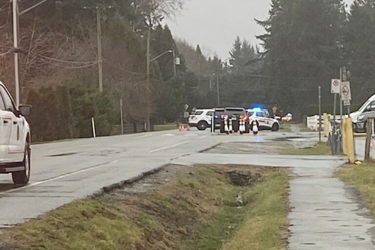 Langley Shooting: RCMP Advises Residents to Stay Indoors During Ongoing Murder Investigation